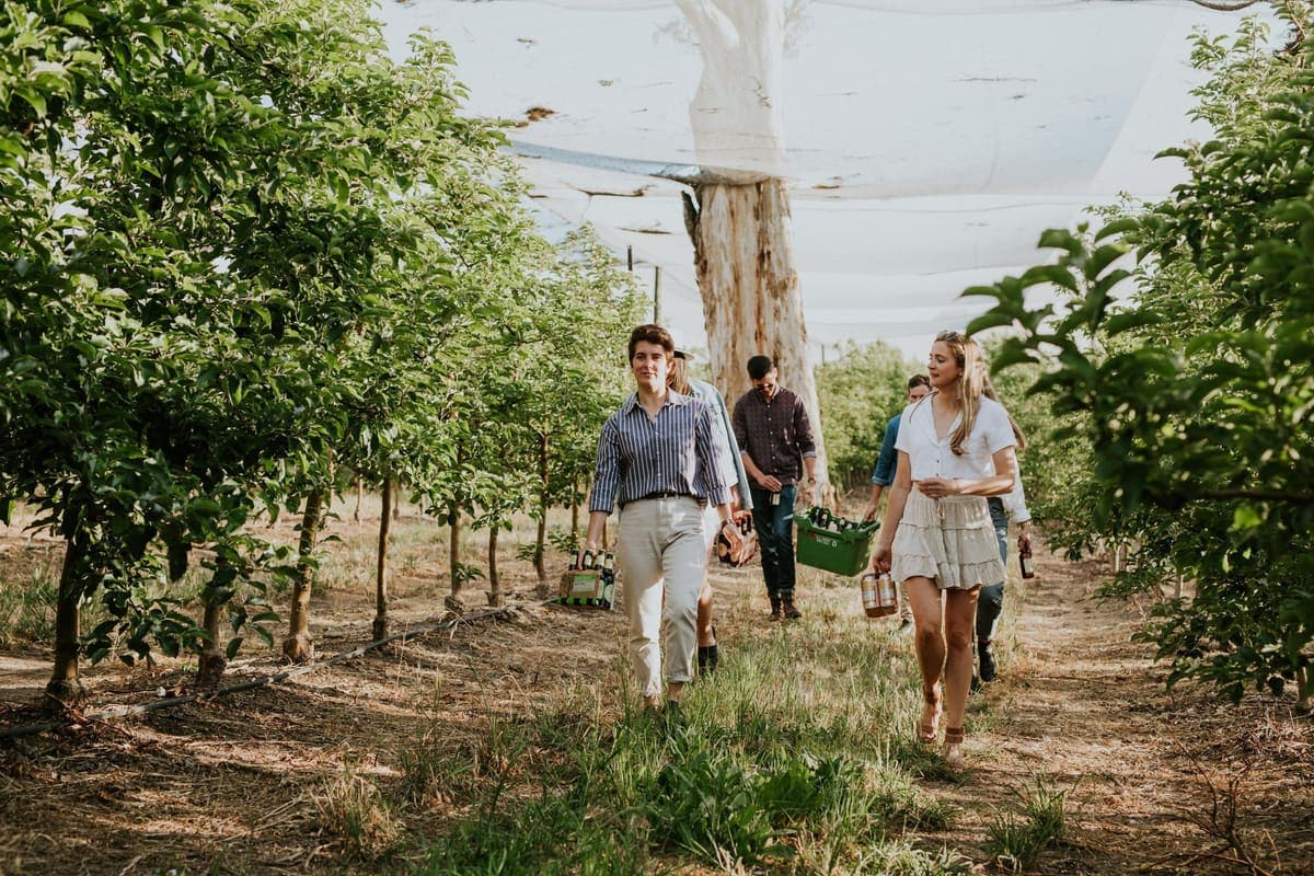 Friends walking between apple trees in an Adelaide Hills orchard, carrying crates